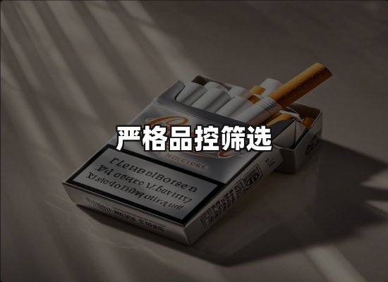 专业优势